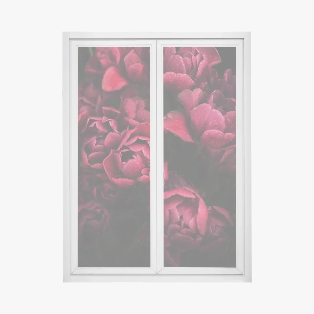 Fensteraufkleber tiefrote blüten mit wassertropfen – Wallnifity® Fensteraufkleber tiefrote blüten mit wassertropfen – Wallnifity®