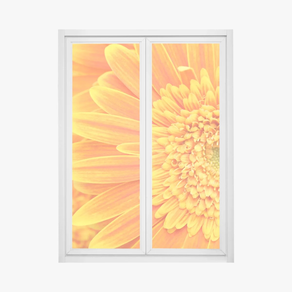 Fensteraufkleber leuchtende orange gerbera in makro – Wallnifity®