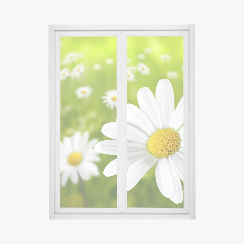 Fensteraufkleber rote rosen vor schwarzem hintergrund – Wallnifity®