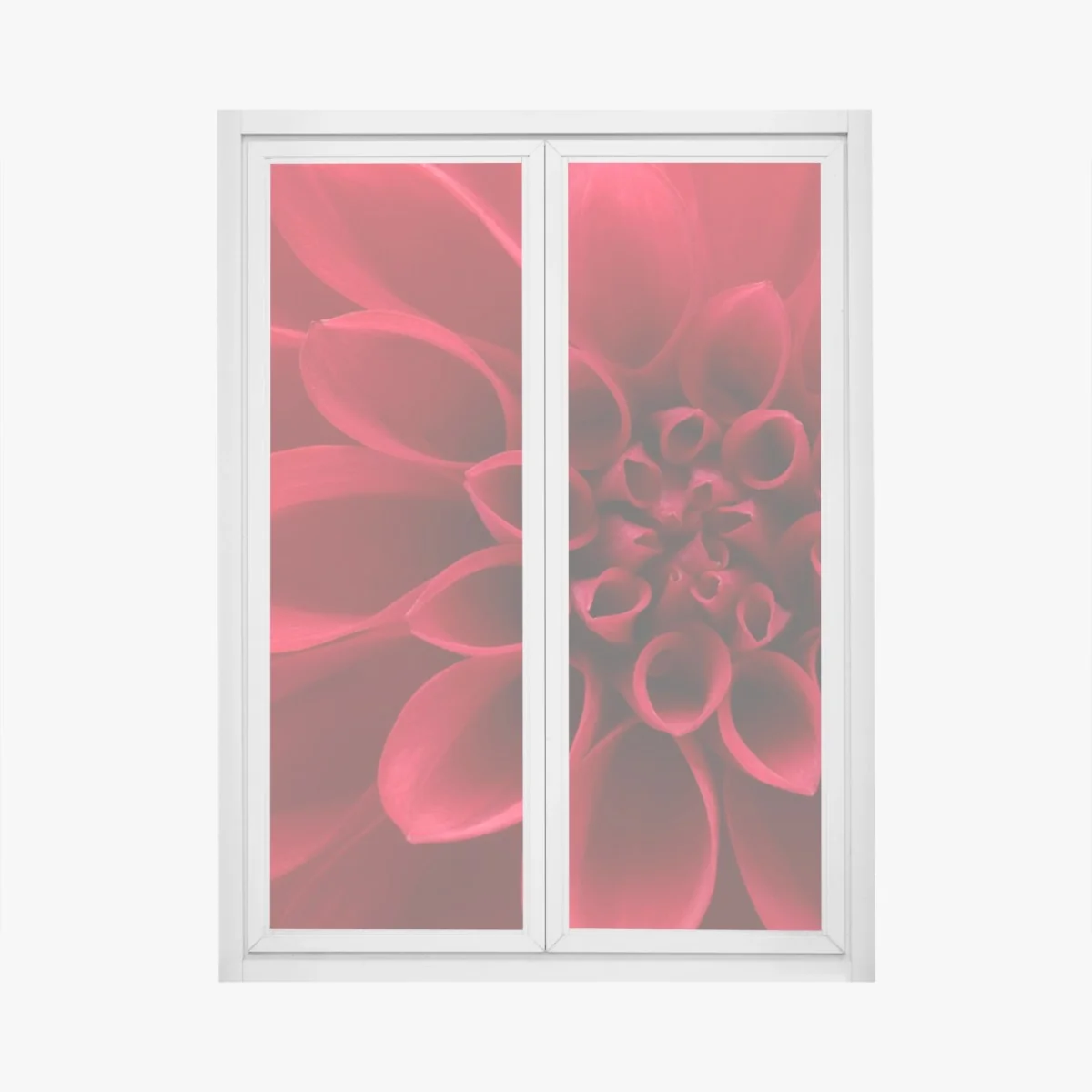 Fensteraufkleber nahaufnahme einer roten dahlie – Wallnifity® Fensteraufkleber nahaufnahme einer roten dahlie – Wallnifity®