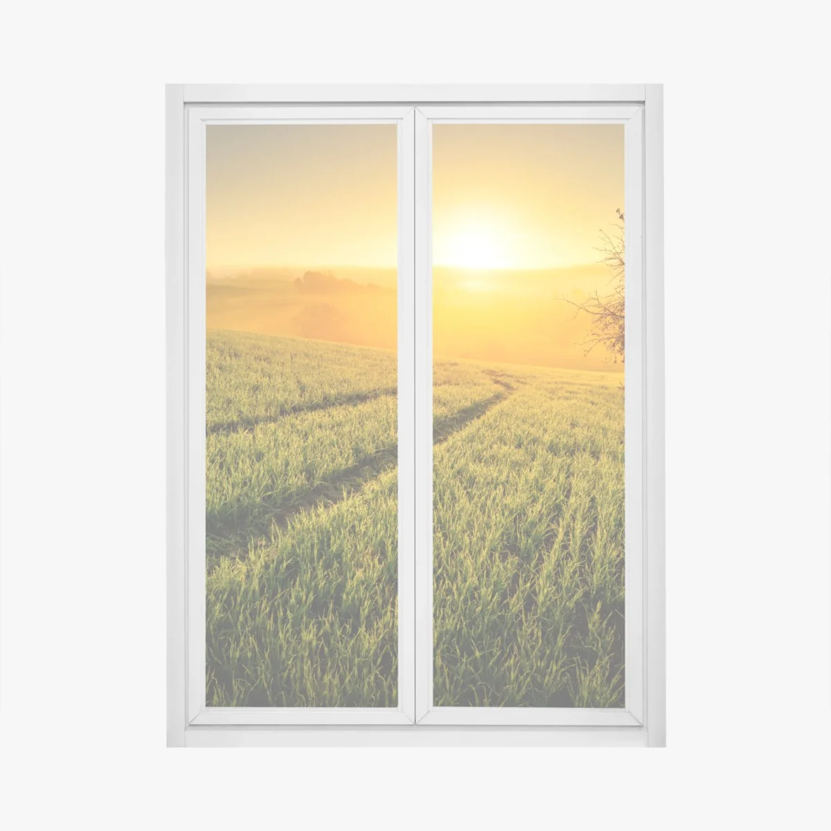 Fensteraufkleber sonnenbeschienene wiese im frühlicht – Wallnifity® Fensteraufkleber sonnenbeschienene wiese im frühlicht – Wallnifity®