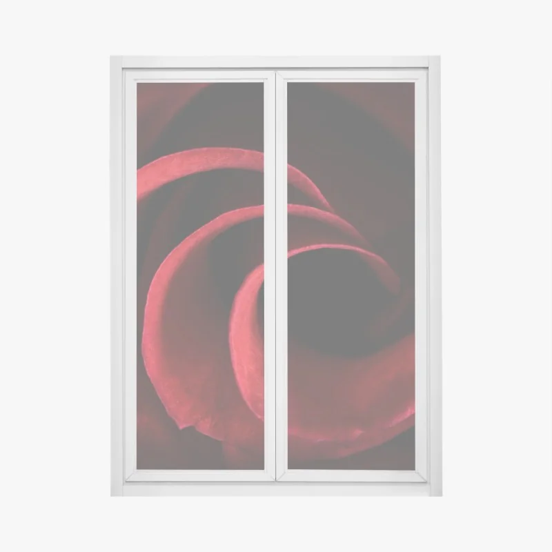 Fensteraufkleber rote rosen vor schwarzem hintergrund – Wallnifity®