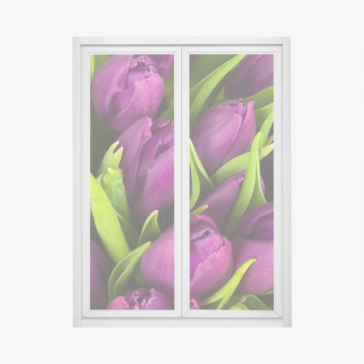 Fensteraufkleber lila tulpen im bukett – Wallnifity® Fensteraufkleber lila tulpen im bukett – Wallnifity®