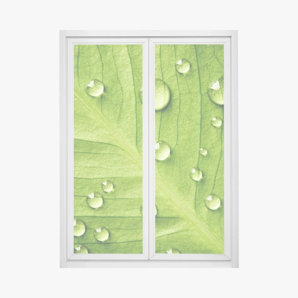 Fensteraufkleber frisches grünes blatt mit wassertropfen – Wallnifity®