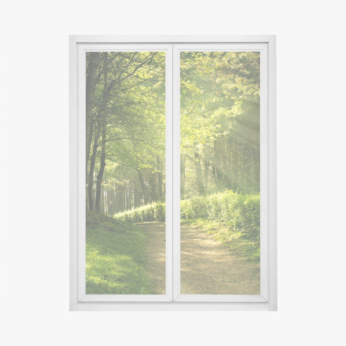 Fensteraufkleber sonnenbeschienener waldpfad im grünen – Wallnifity®