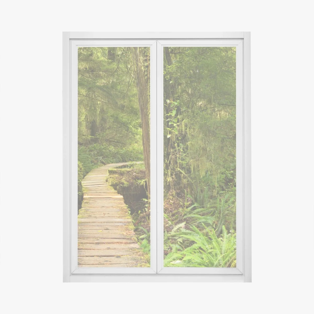 Fensteraufkleber steg im Pacific Rim regenwald – Wallnifity® Fensteraufkleber steg im Pacific Rim regenwald – Wallnifity®