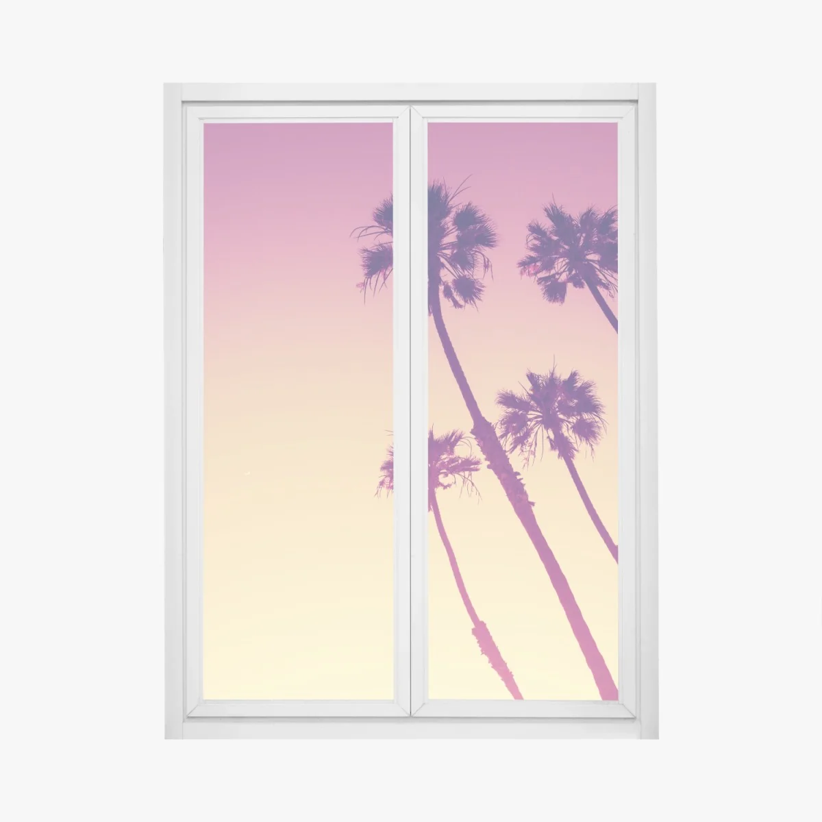 Fensteraufkleber kalifornische palmen bei Sunset Cliffs – Wallnifity® Fensteraufkleber kalifornische palmen bei Sunset Cliffs – Wallnifity®