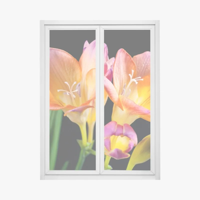 Fensteraufkleber leuchtende orange freesien vor schwarzem hintergrund