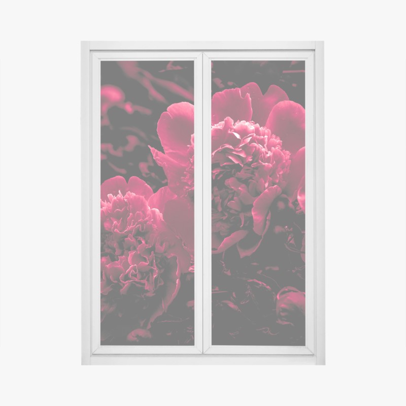 Fensteraufkleber ballettspitze in anmut – Wallnifity®