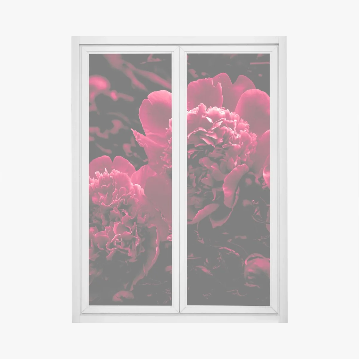 Fensteraufkleber stimmungsvolle rosa pfingstrosen – Wallnifity®