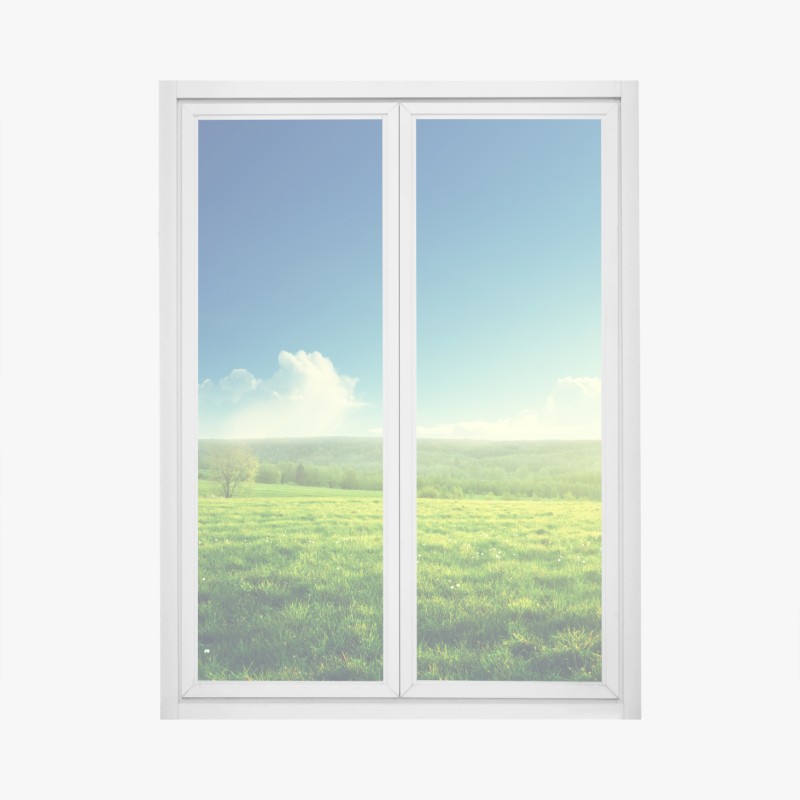 Fensteraufkleber olivenhain bei sonnenuntergang in Maremma, Toskana – Wallnifity®