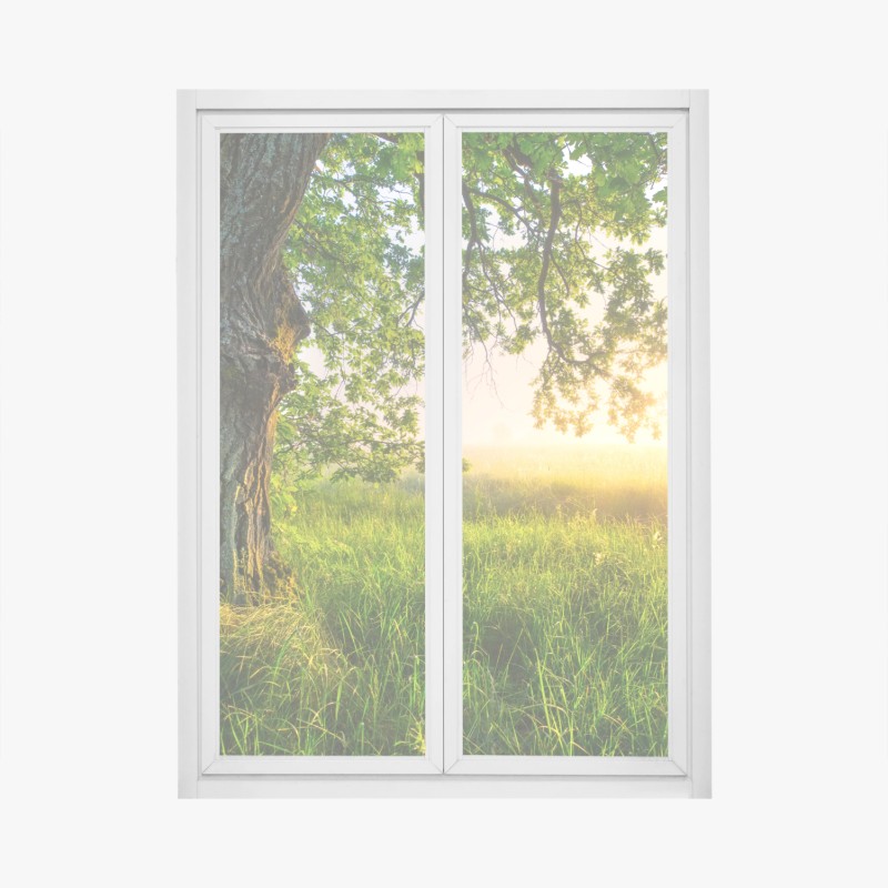 Fensteraufkleber sanftes aquarellmuster mit eukalyptusblättern – Wallnifity®