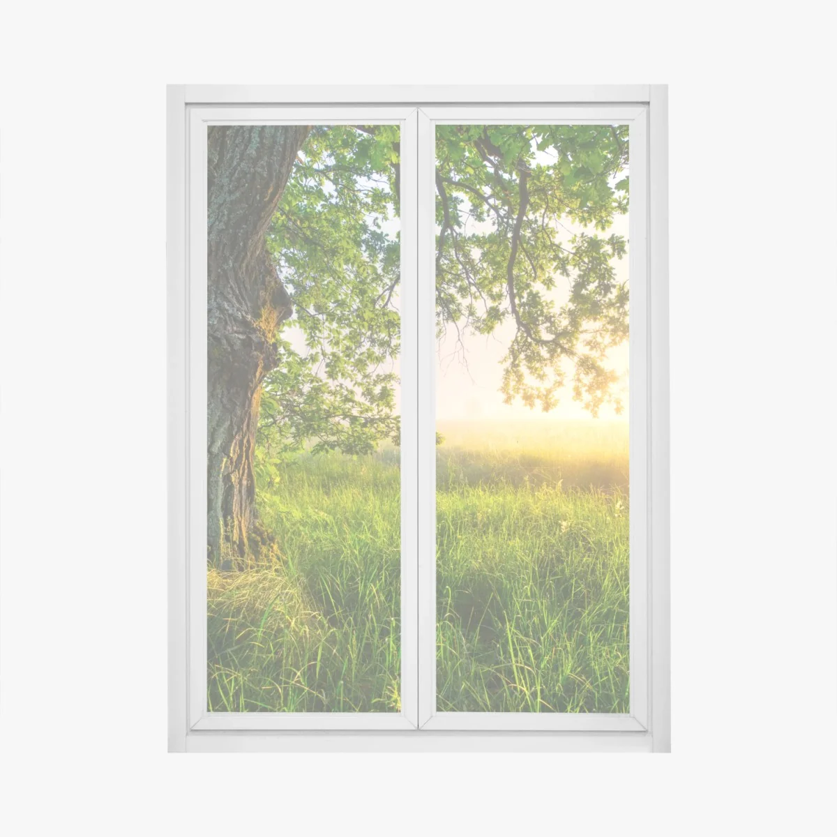 Fensteraufkleber morgendliche eiche auf sonnenbeschienener wiese – Wallnifity® Fensteraufkleber morgendliche eiche auf sonnenbeschienener wiese – Wallnifity®