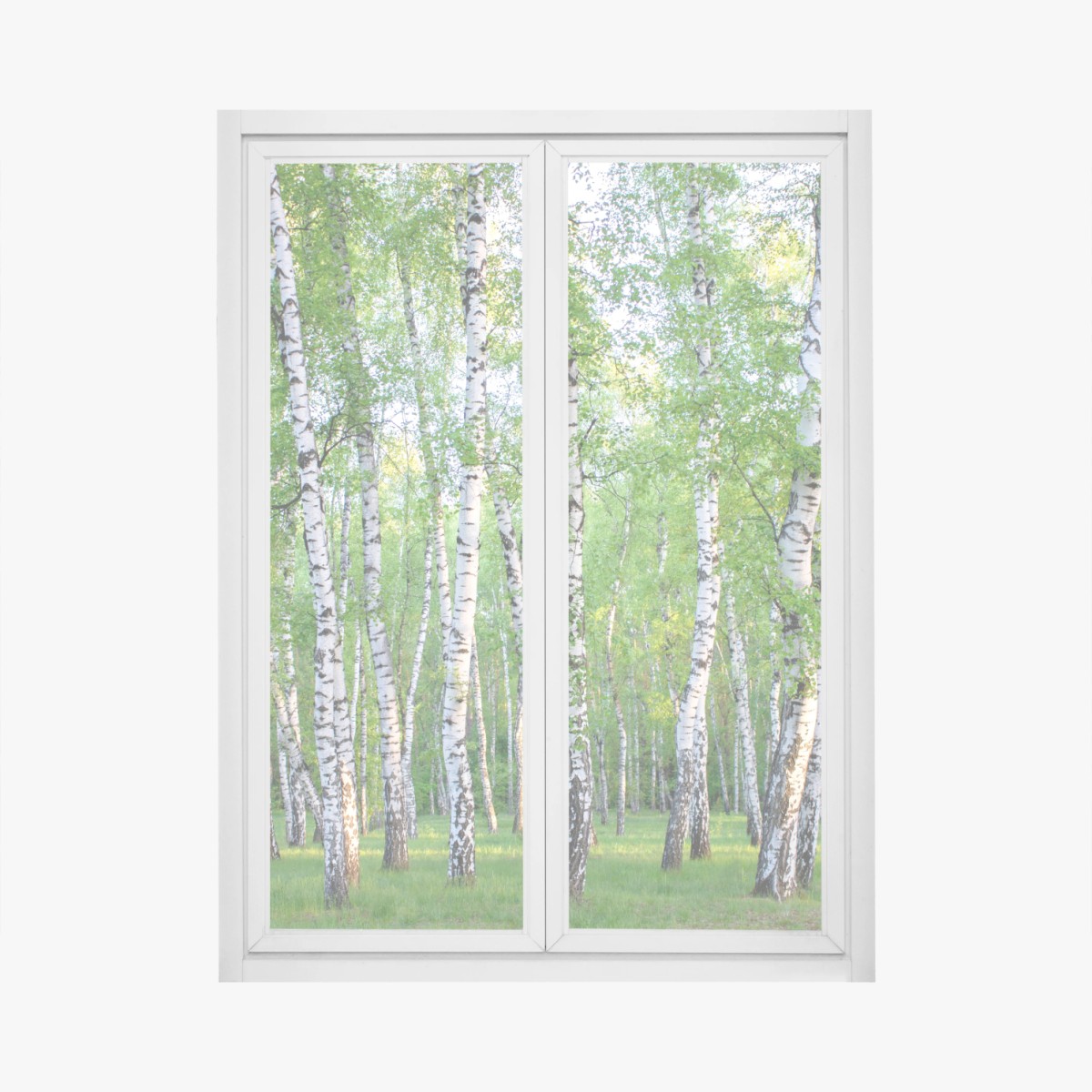 Fensteraufkleber ruhiger birkenhain im sommer – Wallnifity®