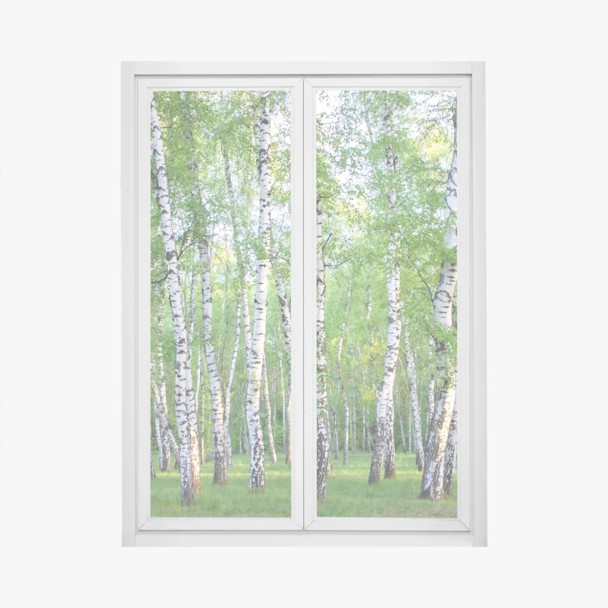 Fensteraufkleber ruhiger birkenhain im sommer – Wallnifity®