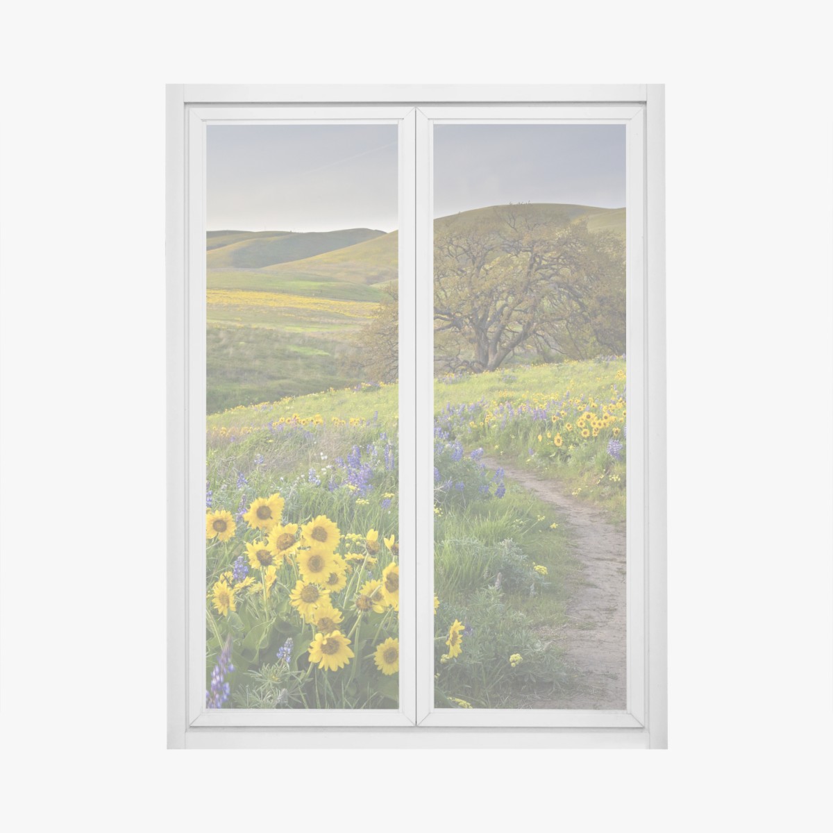 Fensteraufkleber pfad durch blumenwiese mit eichenbaum – Wallnifity®