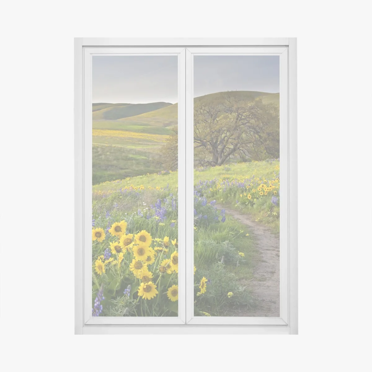 Fensteraufkleber pfad durch blumenwiese mit eichenbaum – Wallnifity® Fensteraufkleber pfad durch blumenwiese mit eichenbaum – Wallnifity®