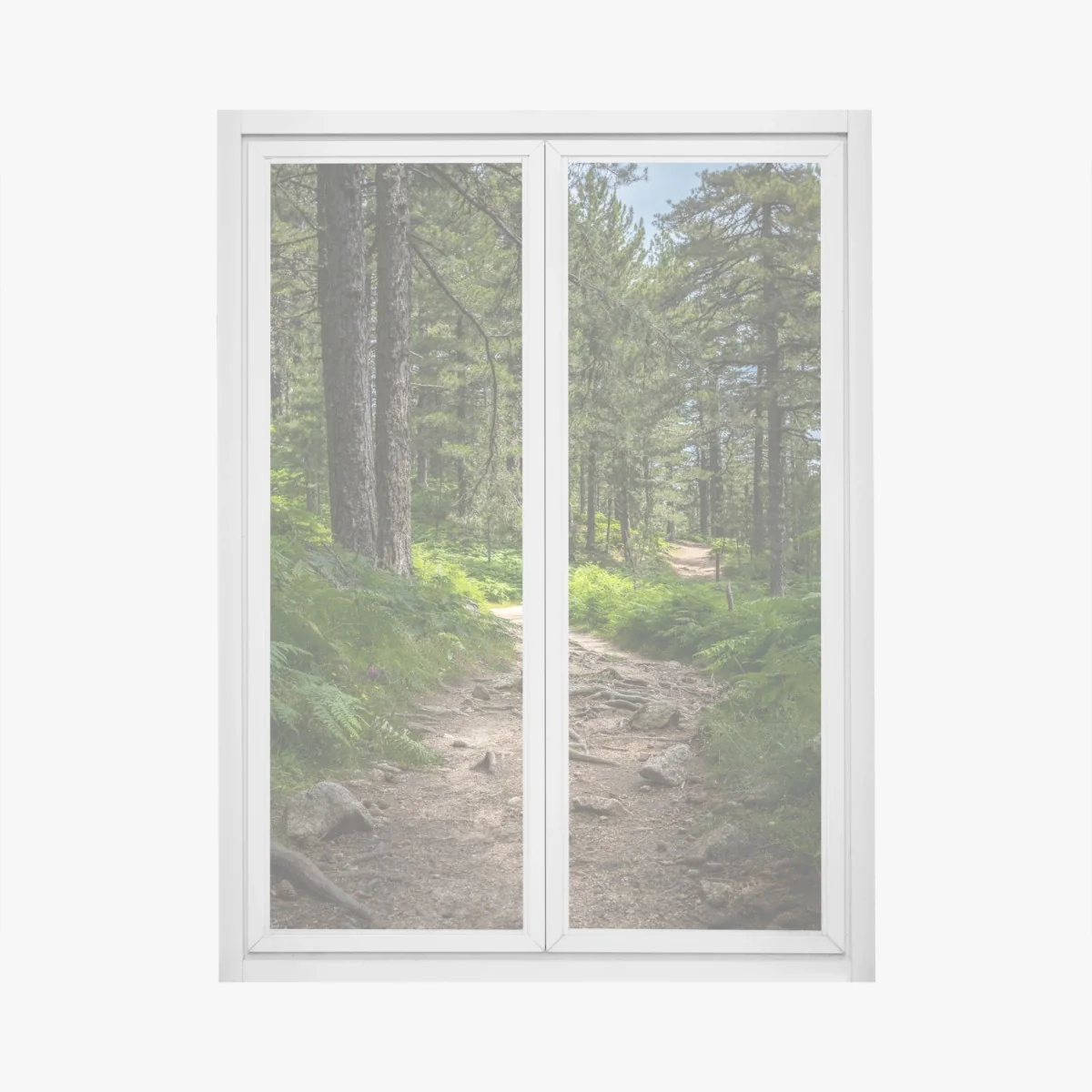 Fensteraufkleber ruhiger waldpfad durch üppiges grün – Wallnifity®