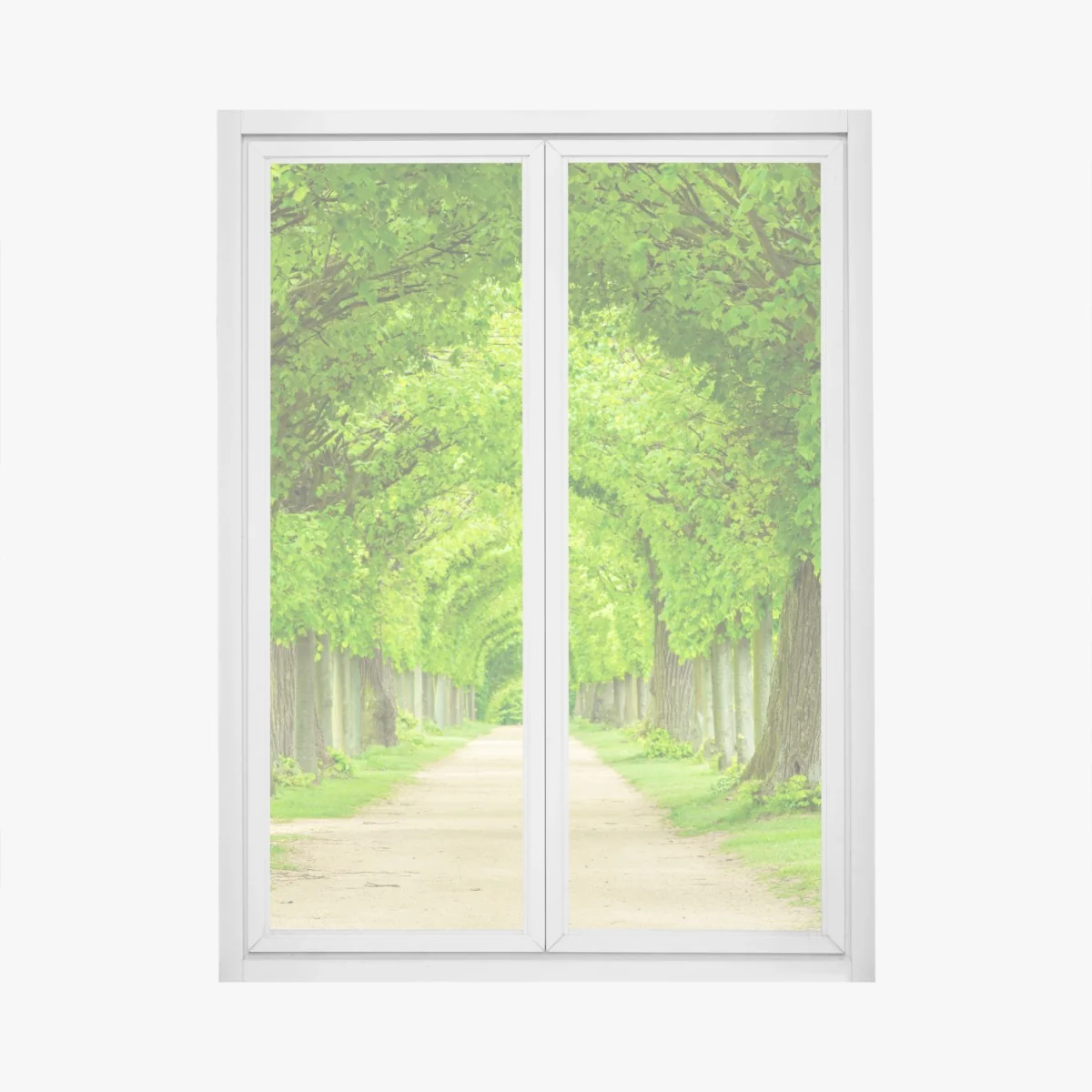 Fensteraufkleber grüner baumtunnel – Wallnifity®