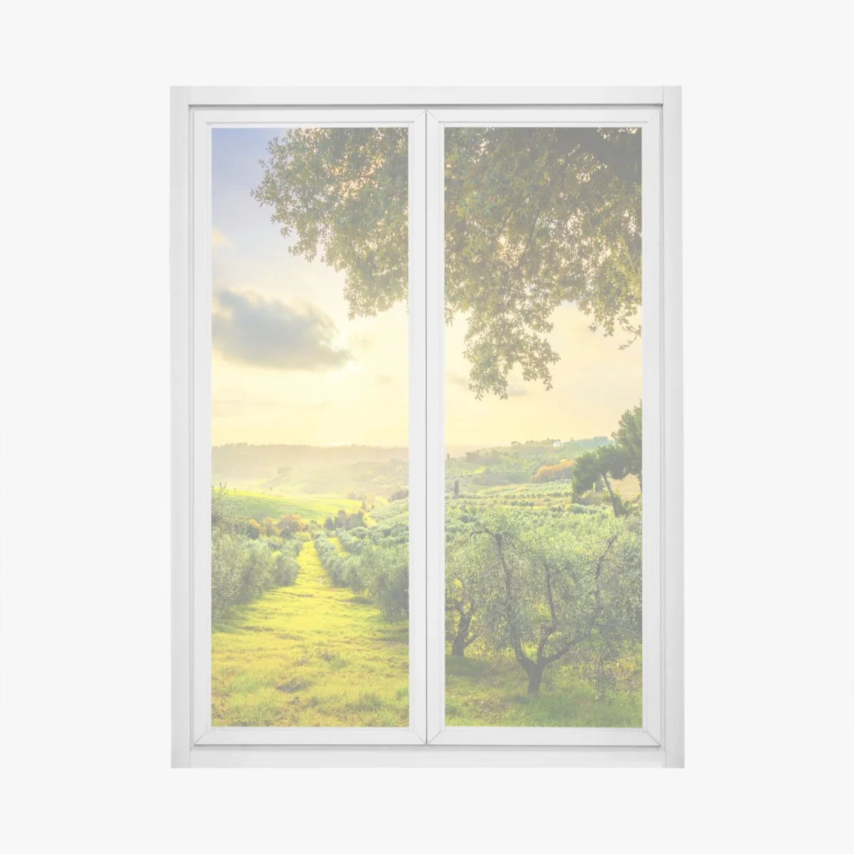 Fensteraufkleber olivenhain bei sonnenuntergang in Maremma, Toskana – Wallnifity® Fensteraufkleber olivenhain bei sonnenuntergang in Maremma, Toskana – Wallnifity®