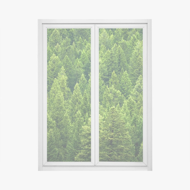 Fensteraufkleber eukalyptus aquarell botanisches muster auf dunklem hintergrund – Wallnifity®