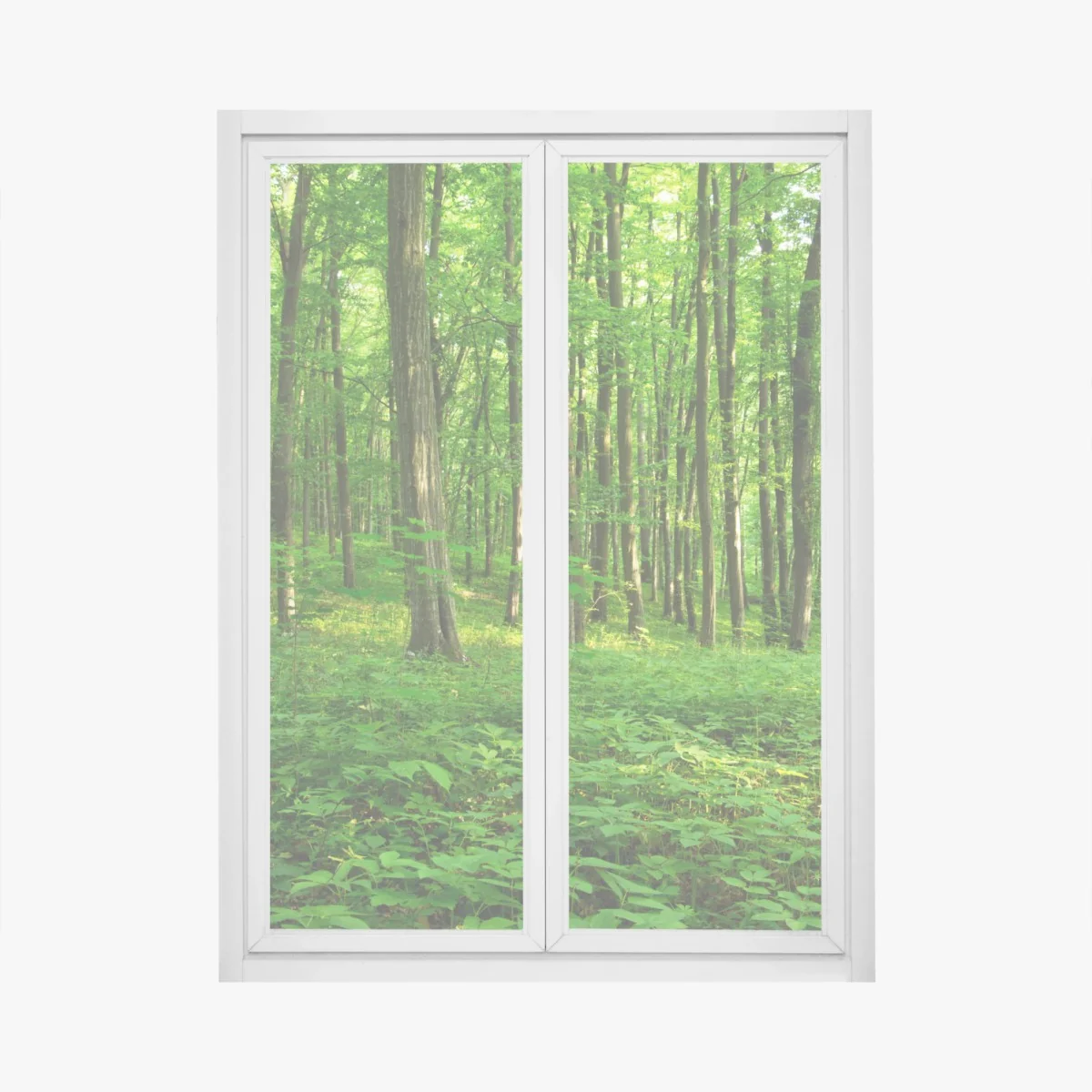 Fensteraufkleber sonniger grüner wald im frühling – Wallnifity® Fensteraufkleber sonniger grüner wald im frühling – Wallnifity®