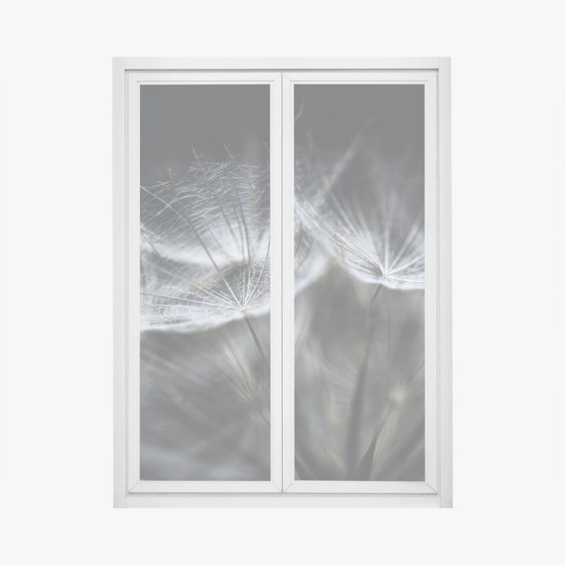 Fensteraufkleber zarte löwenzahnsamen in monochrom
