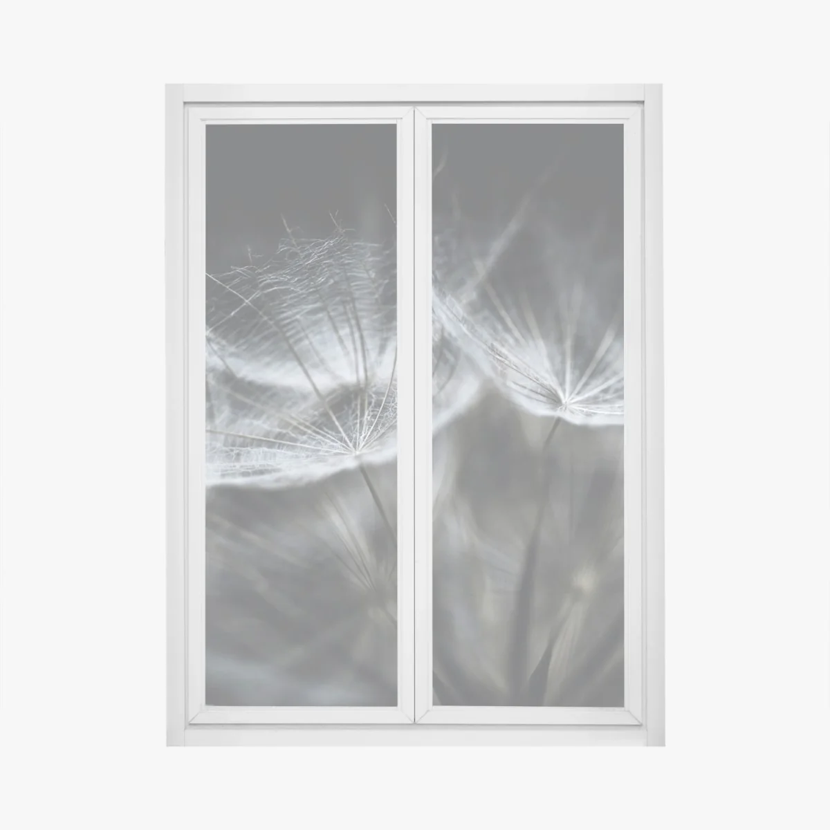 Fensteraufkleber zarte löwenzahnsamen in monochrom – Wallnifity®
