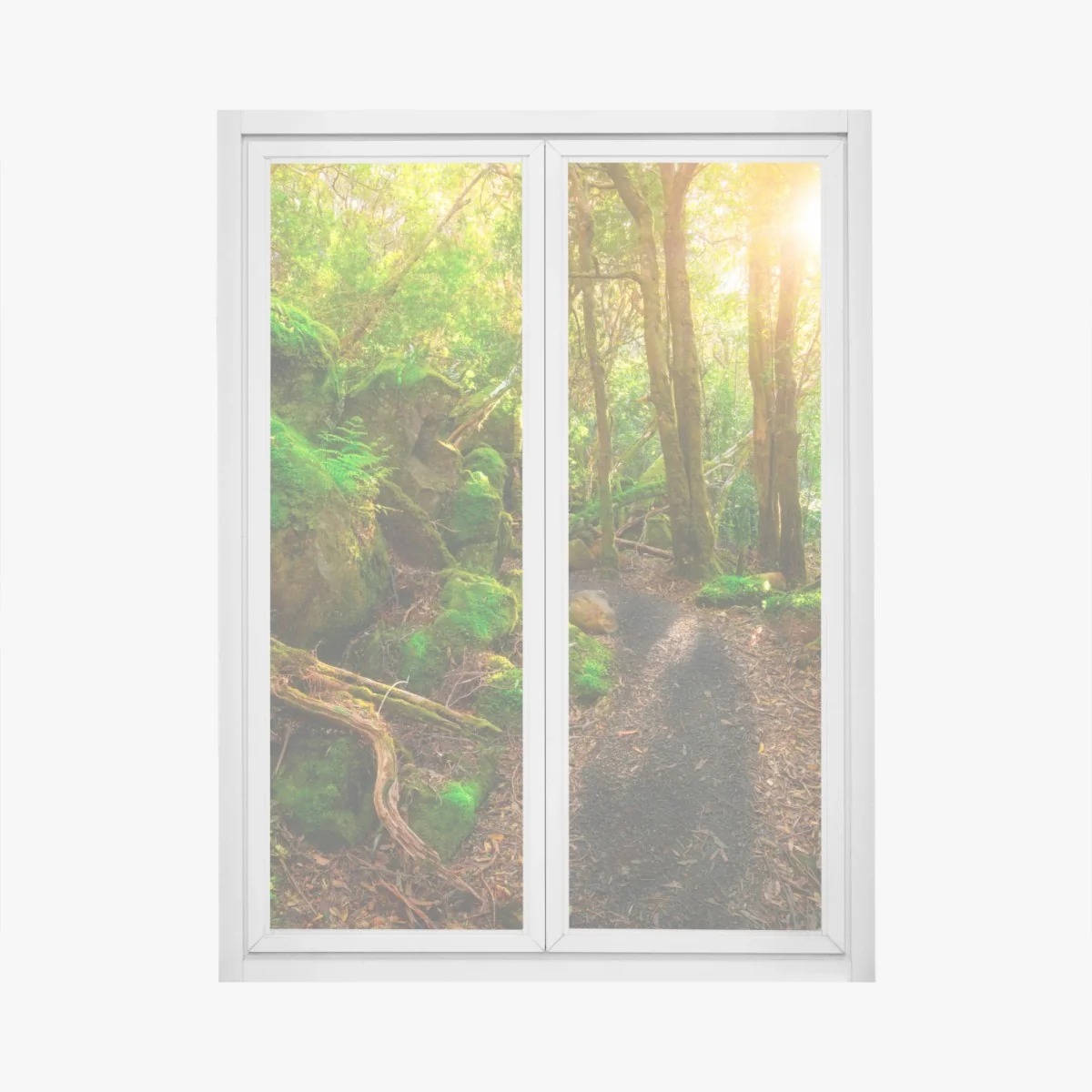 Fensteraufkleber sonniger pfad im regenwald der Tasman-Halbinsel, Tasmanien – Wallnifity® Fensteraufkleber sonniger pfad im regenwald der Tasman-Halbinsel, Tasmanien – Wallnifity®