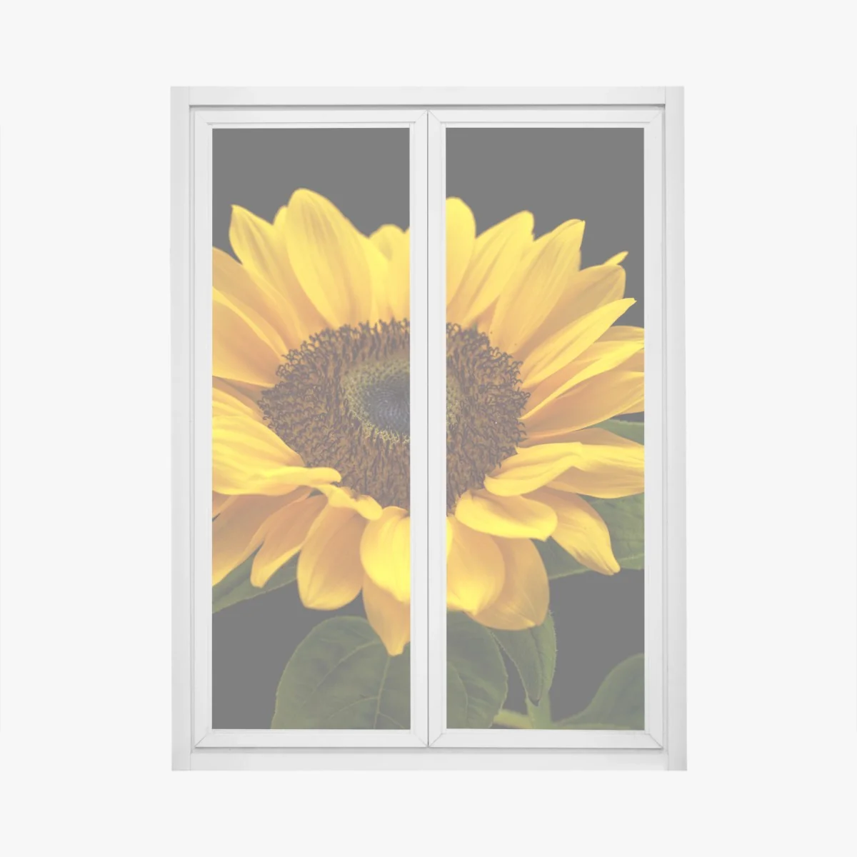 Fensteraufkleber leuchtende sonnenblume auf schwarzem hintergrund – Wallnifity® Fensteraufkleber leuchtende sonnenblume auf schwarzem hintergrund – Wallnifity®
