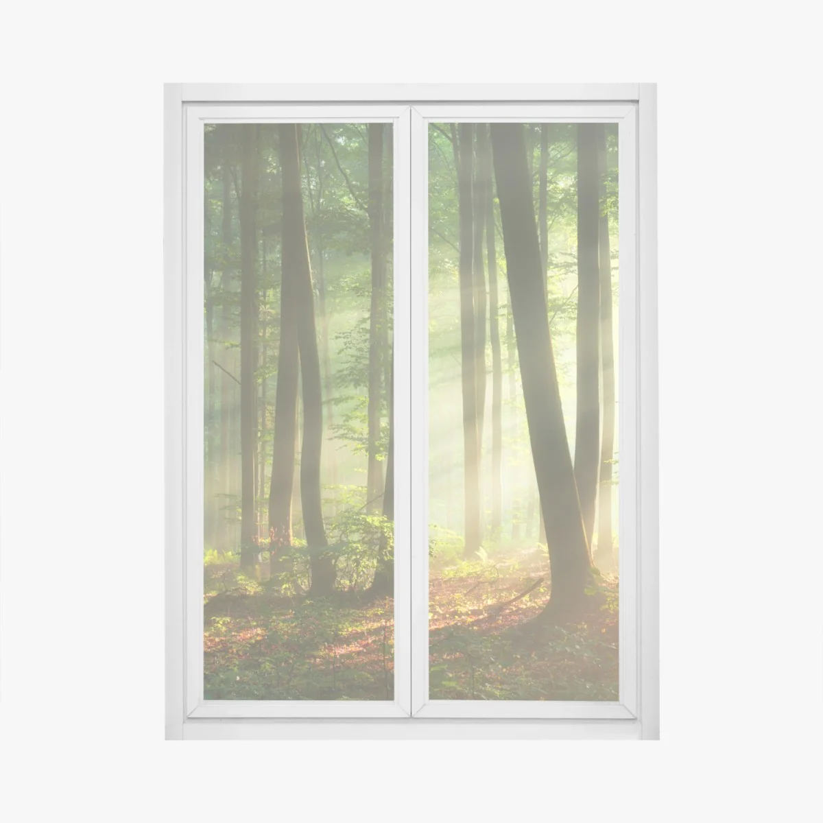 Fensteraufkleber sonnenbeschienener morgenwald – Wallnifity®