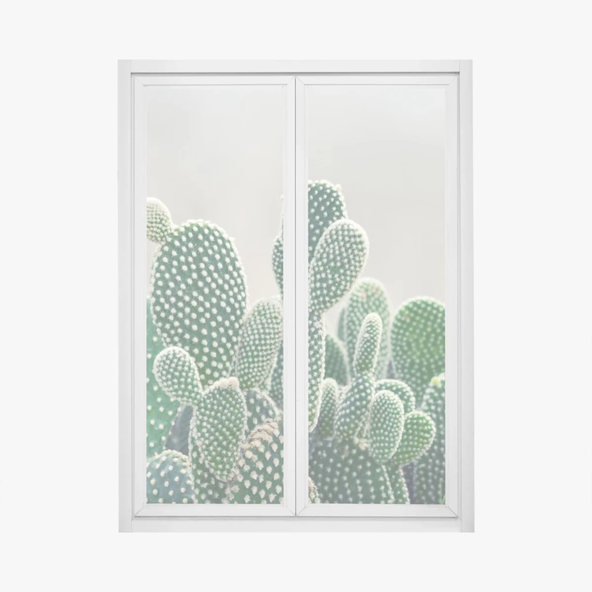 Fensteraufkleber nahaufnahme eines opuntienkaktus – Wallnifity® Fensteraufkleber nahaufnahme eines opuntienkaktus – Wallnifity®