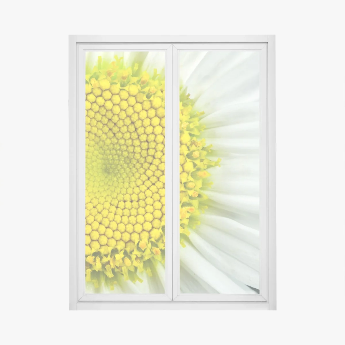 Fensteraufkleber makro gänseblümchen spiralmuster – Wallnifity®