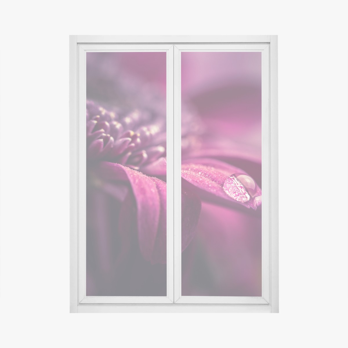 Fensteraufkleber lila makroblüte mit tautropfen – Wallnifity®