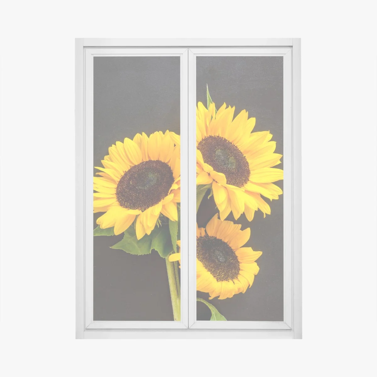 Fensteraufkleber leuchtende sonnenblumen auf schwarzem hintergrund – Wallnifity® Fensteraufkleber leuchtende sonnenblumen auf schwarzem hintergrund – Wallnifity®