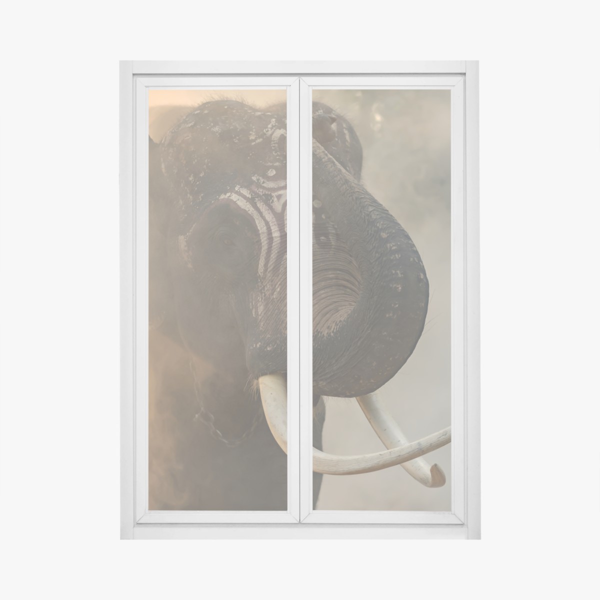 Fensteraufkleber majestätischer Thai-elefant mit stoßzähnen – Wallnifity®