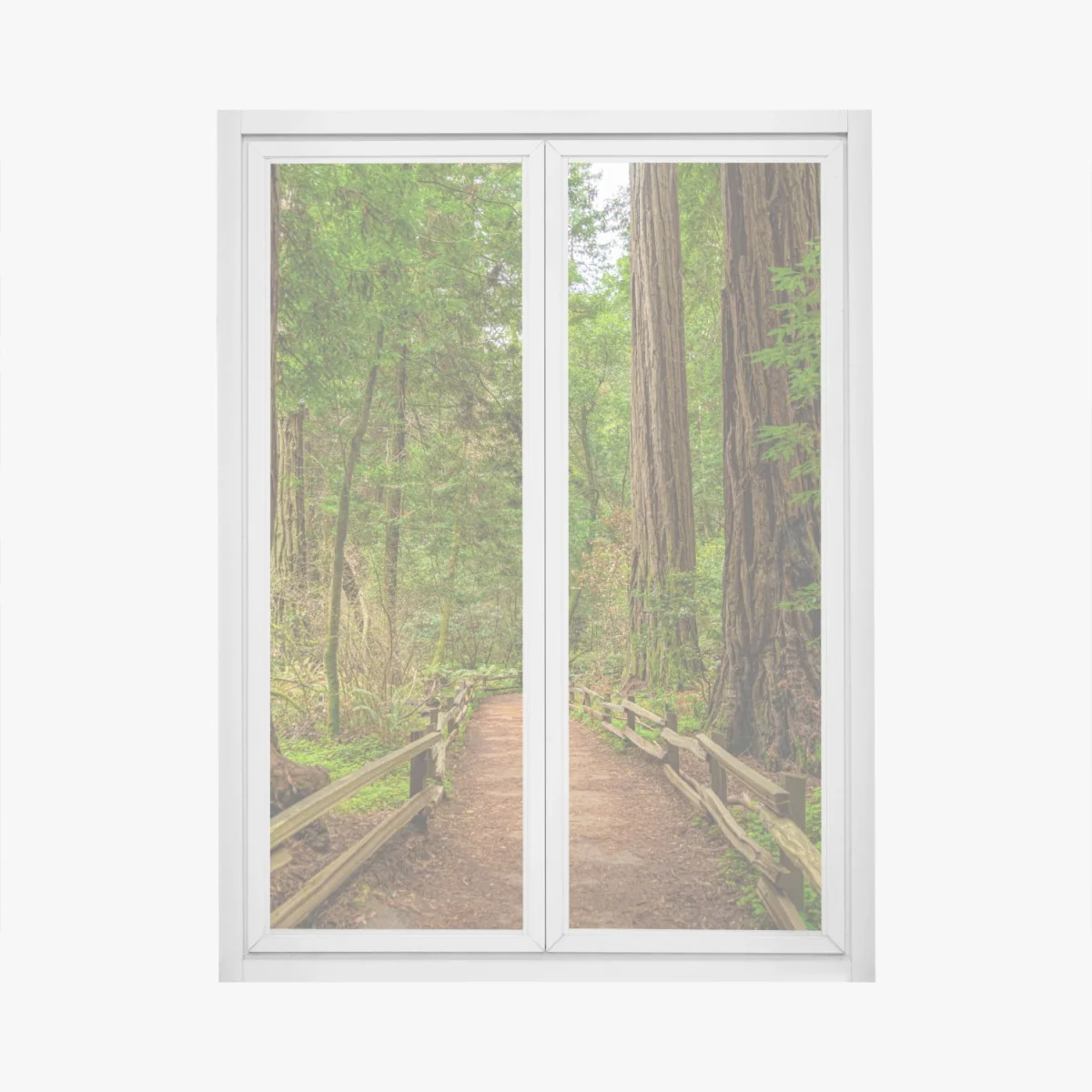 Fensteraufkleber majestätischer waldpfad zwischen mammutbäumen – Wallnifity® Fensteraufkleber majestätischer waldpfad zwischen mammutbäumen – Wallnifity®