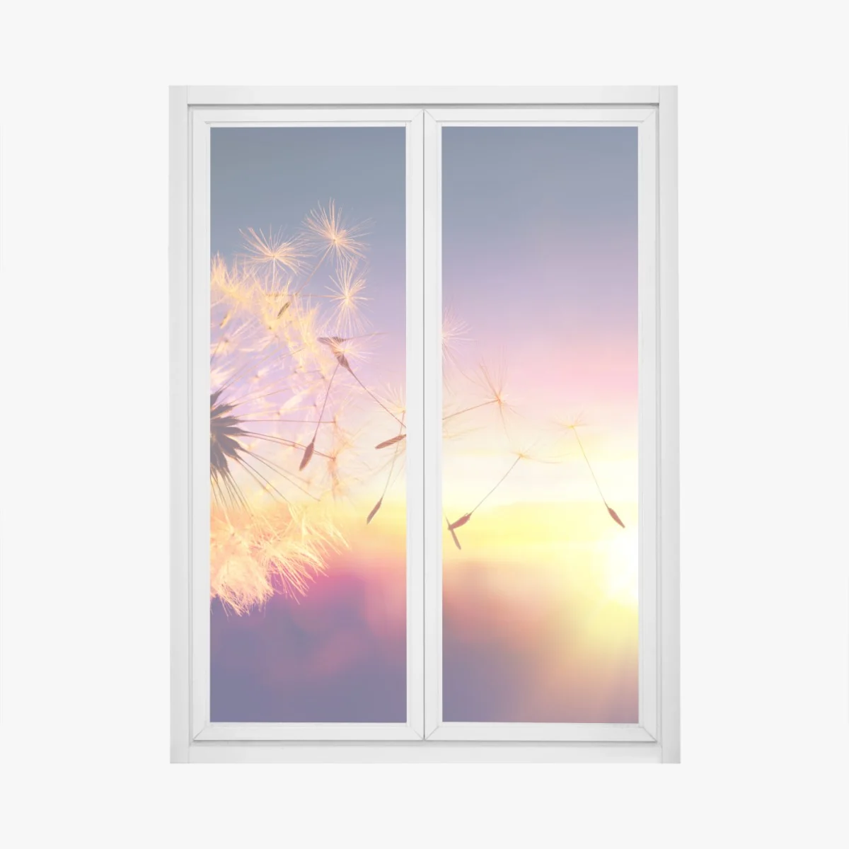 Fensteraufkleber goldener löwenzahn bei sonnenuntergang – Wallnifity®