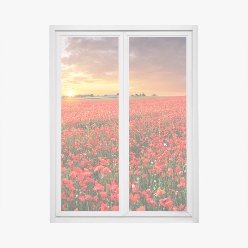 Fensteraufkleber türkis-korall abstrakte komposition – Wallnifity®