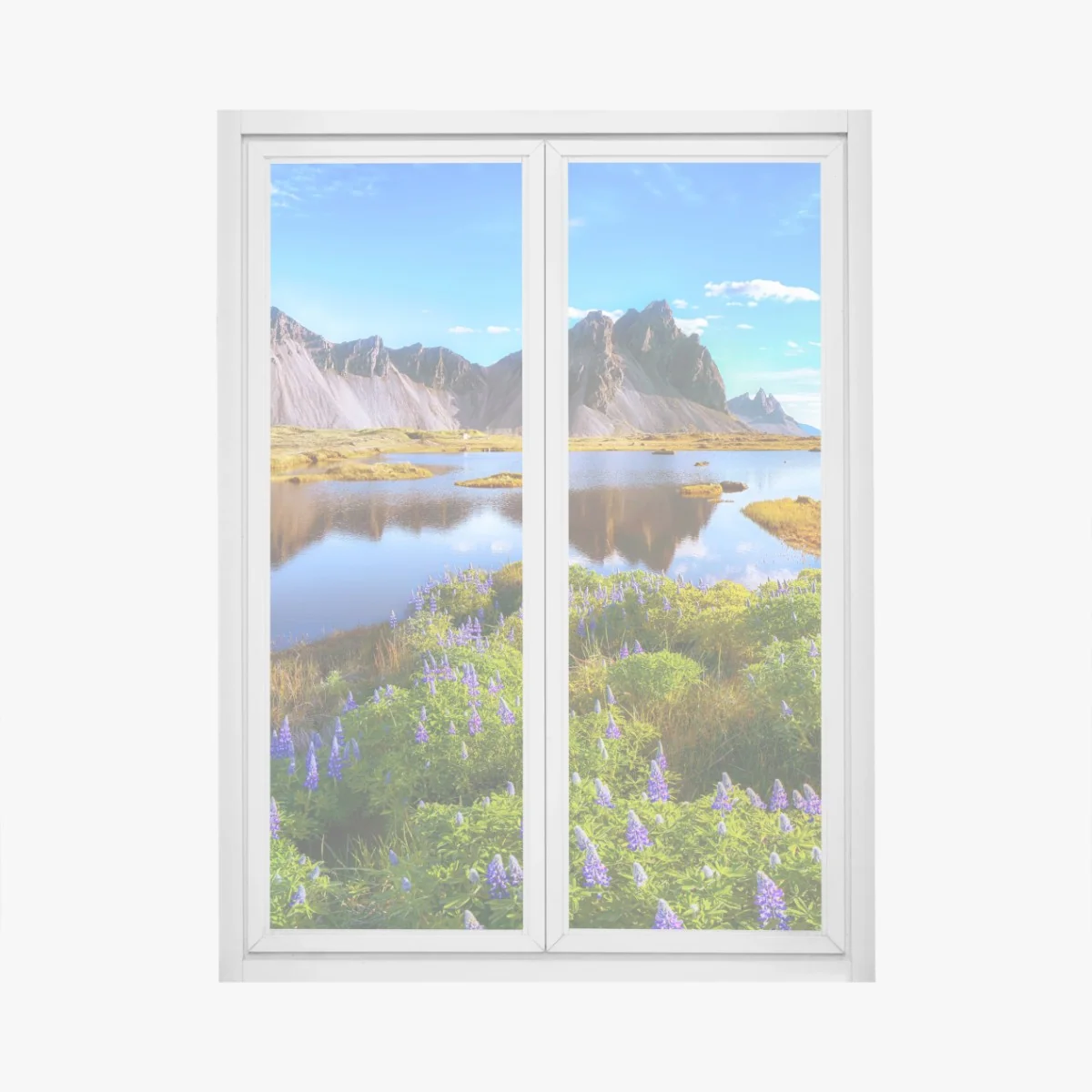 Fensteraufkleber lebendige lupinenwiesen bei Vestrahorn, Island – Wallnifity® Fensteraufkleber lebendige lupinenwiesen bei Vestrahorn, Island – Wallnifity®