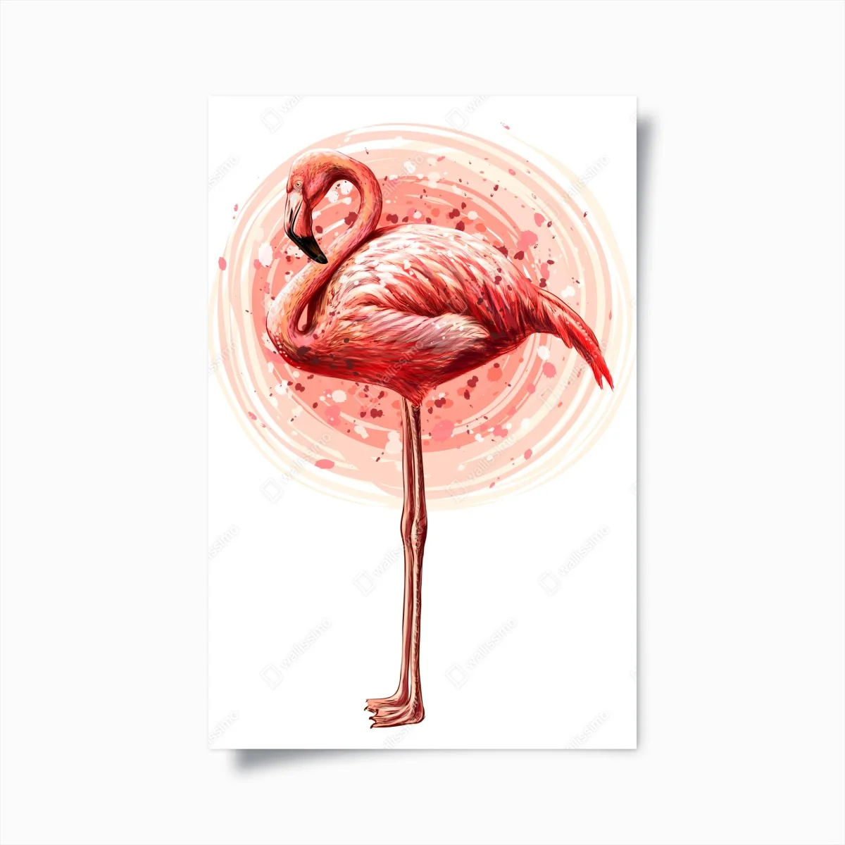 Poster zarte rosa flamingo aquarell-illustration – Wallnifity® Poster zarte rosa flamingo aquarell-illustration – Wallnifity®