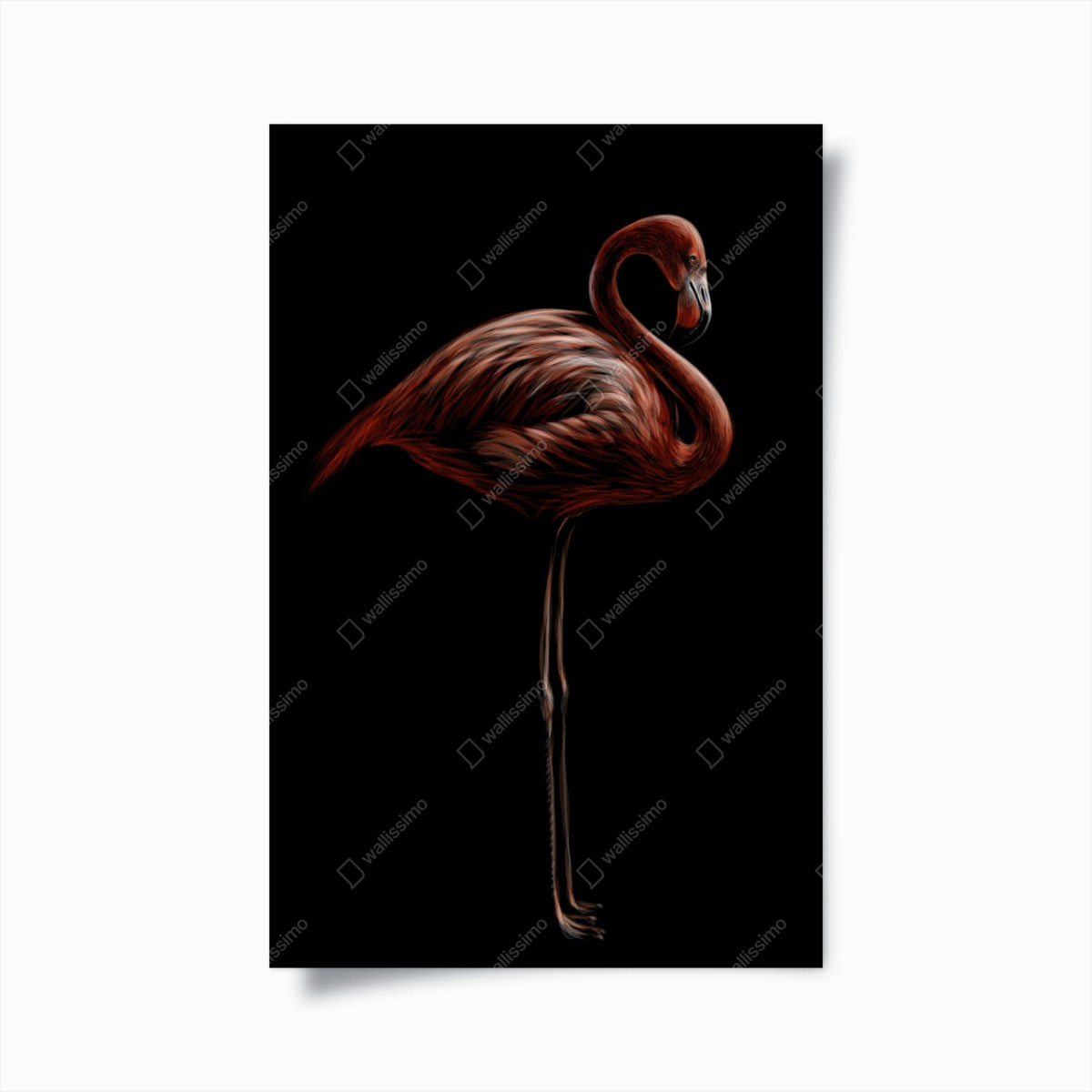 Poster eleganter roter flamingo vor schwarzem hintergrund – Wallnifity® Poster eleganter roter flamingo vor schwarzem hintergrund – Wallnifity®