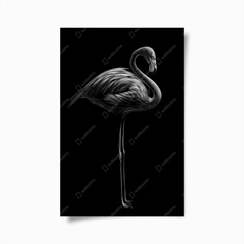 Poster graustufen-flamingo-silhouette