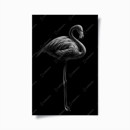 Poster graustufen-flamingo-silhouette – Wallnifity®