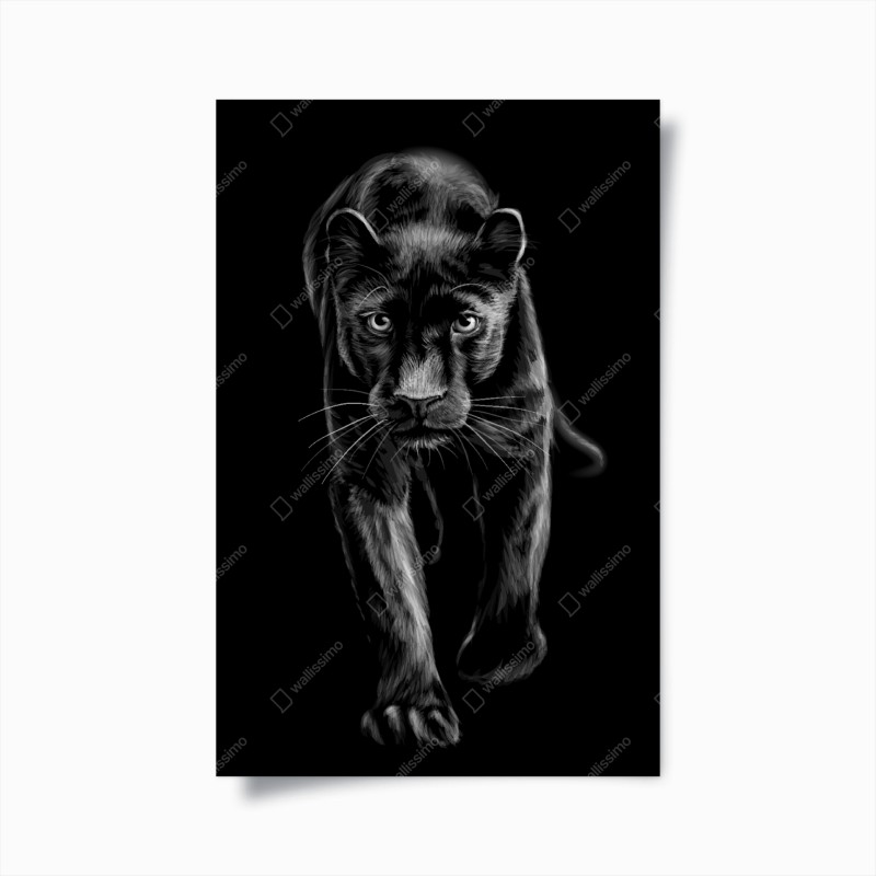 Poster schreitender schwarzer panther illustration