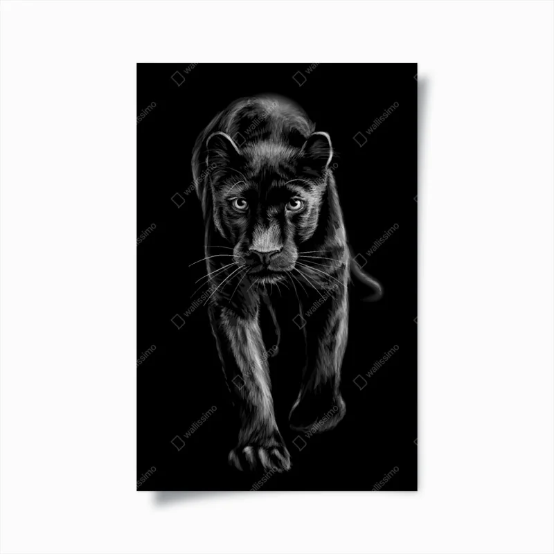 Poster schreitender schwarzer panther illustration