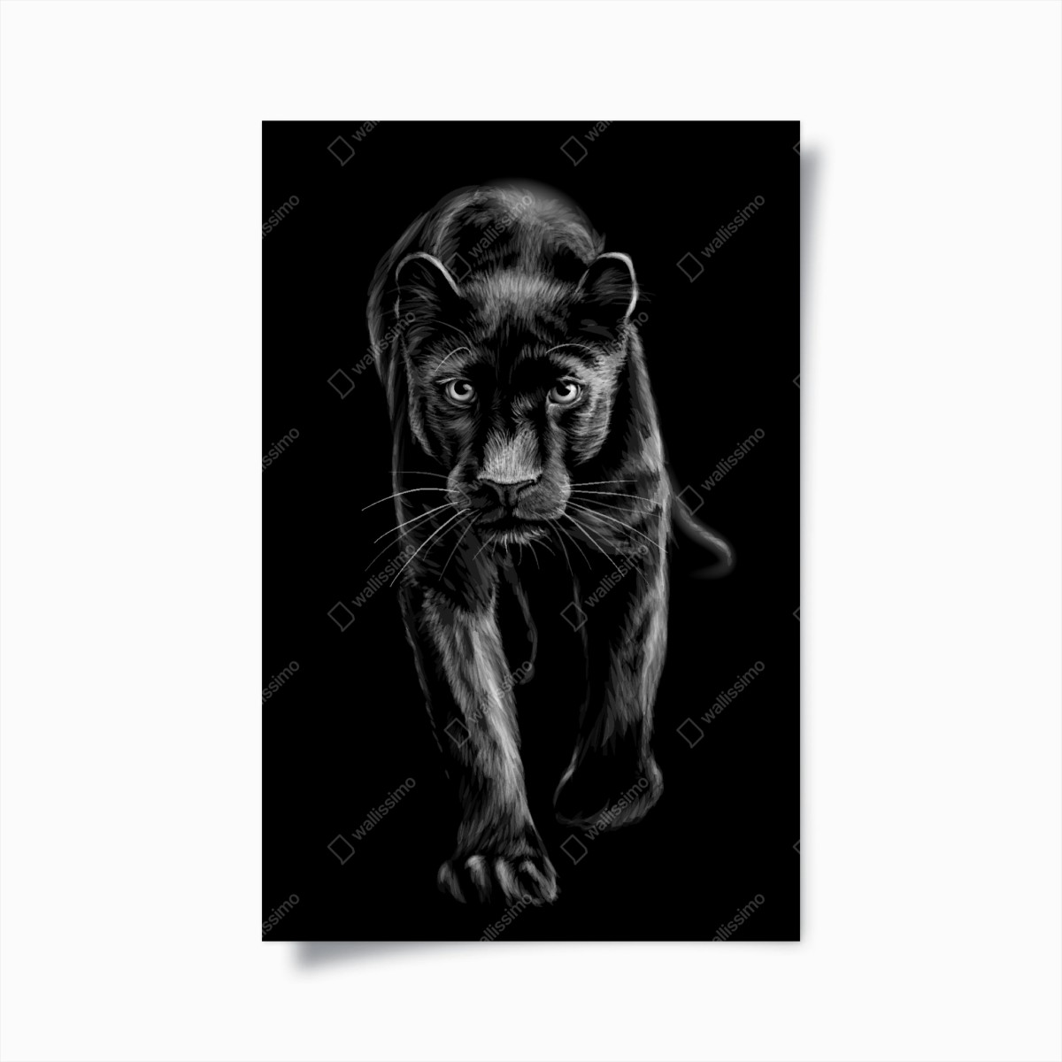 Poster schreitender schwarzer panther illustration – Wallnifity®