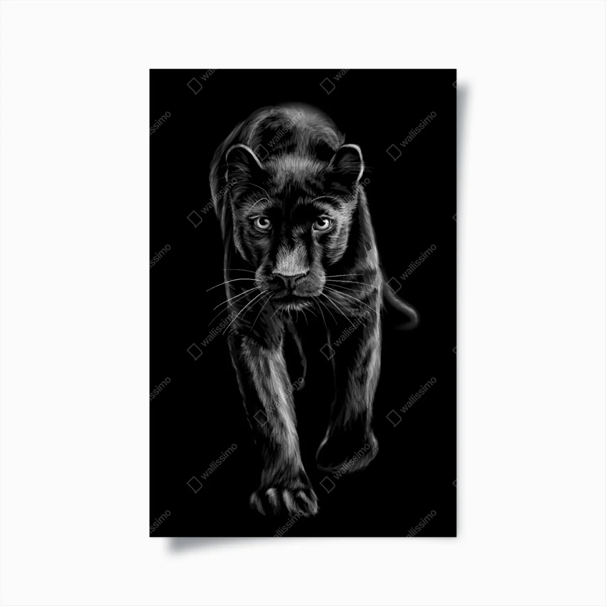 Poster schreitender schwarzer panther illustration – Wallnifity® Poster schreitender schwarzer panther illustration – Wallnifity®