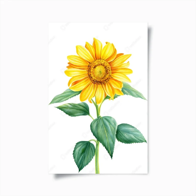Poster sonnenblume in aquarell
