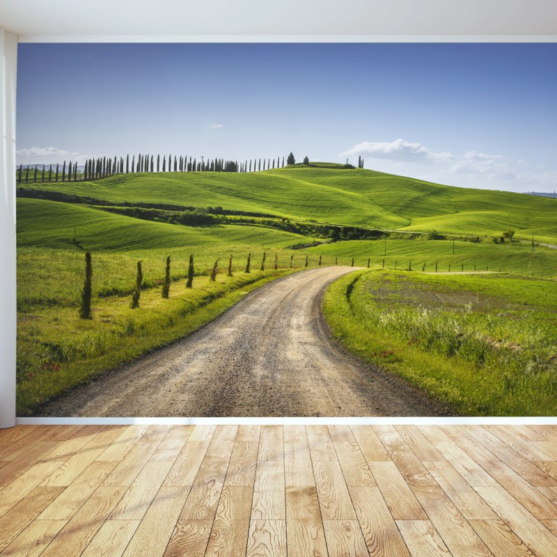 Fototapete ländliche straße in der Toskana durch grüne hügel – Wallnifity®